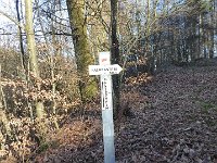 SORTIE CHATEAU FALKENSTEIN ROCHER DU FALKENBERG 08 02 2019 08